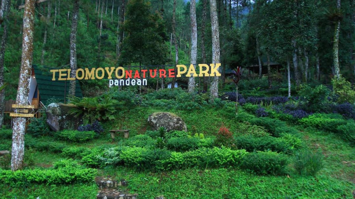 Telomoyo Nature Park: Pesona Alam Menakjubkan di Lereng Gunung Merapi